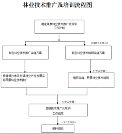 創新林業技術推廣培訓，助力林業現代化發展